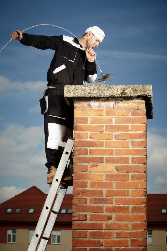 Chimney Sweep Professionals